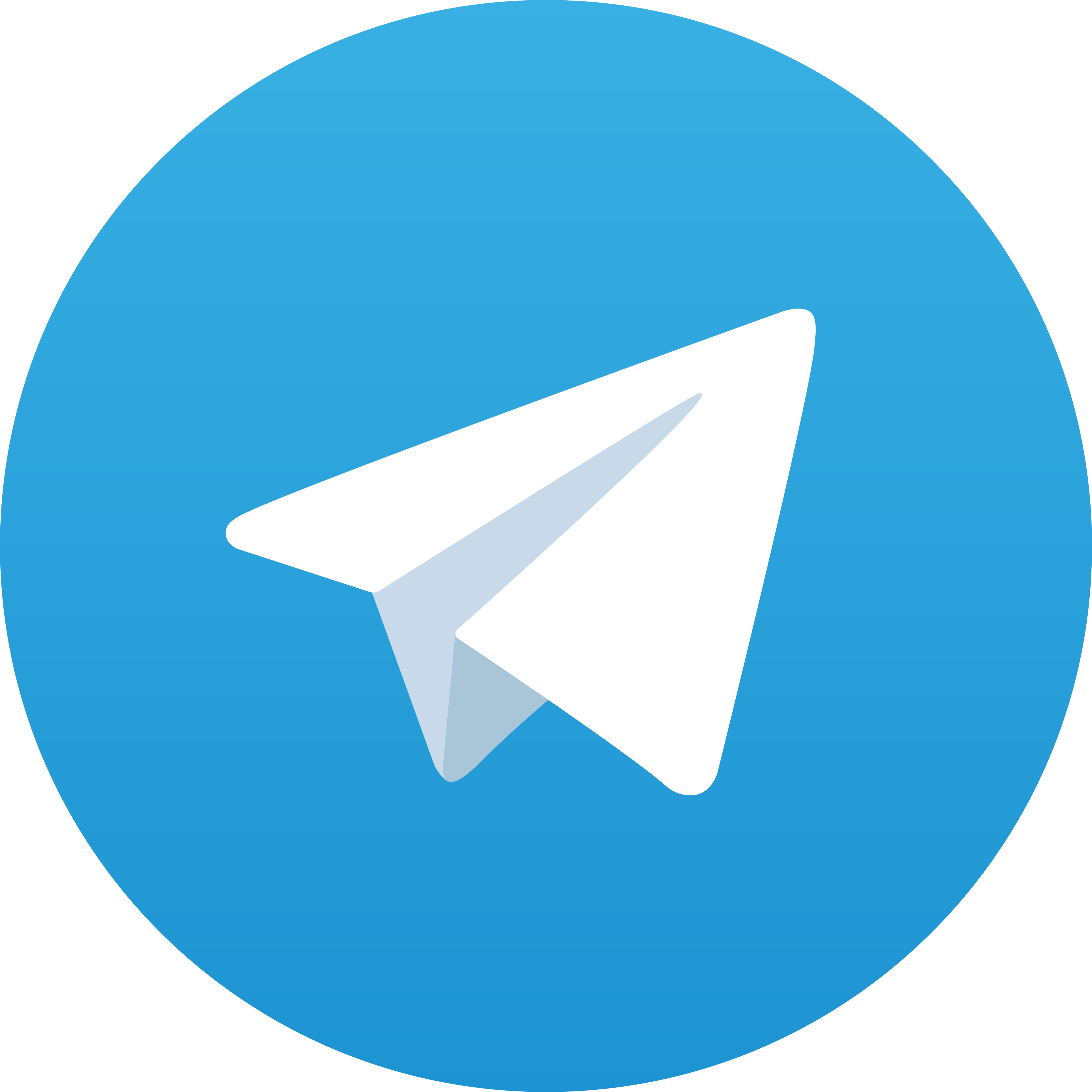 Telegram LIVETOP